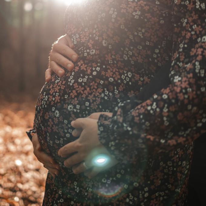 H&auml;nde umschlingen einen schwangeren Bauch in einem herbstlichen Wald mit warmem Licht.