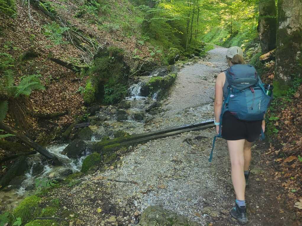 Wanderer mit Rucksack geht einen schmalen Weg entlang, umgeben von gr&uuml;nen B&auml;umen und einem kleinen Bach.