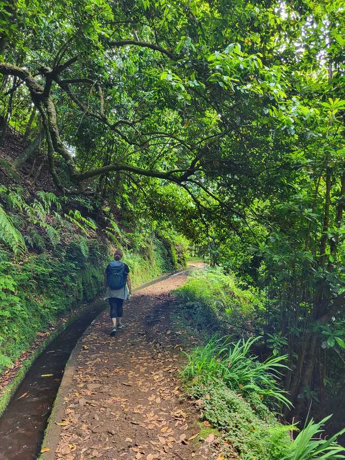 Wanderer auf einem schmalen Weg, umgeben von &uuml;ppigem Gr&uuml;n und B&auml;umen, entlang eines Bew&auml;sserungskanals.