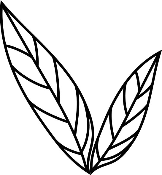 Zwei stilisierte Bl&auml;tter mit feinen Linien, die &uuml;bereinander angeordnet sind und eine nat&uuml;rliche Form darstellen.