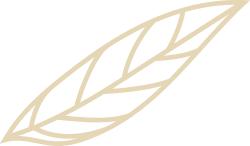 Dekorative Illustration eines stilisierten Blattes in sanften Beige-T&ouml;nen auf schwarzem Hintergrund.